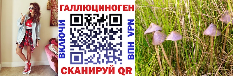 Псилоцибиновые грибы прущие грибы  Смоленск 